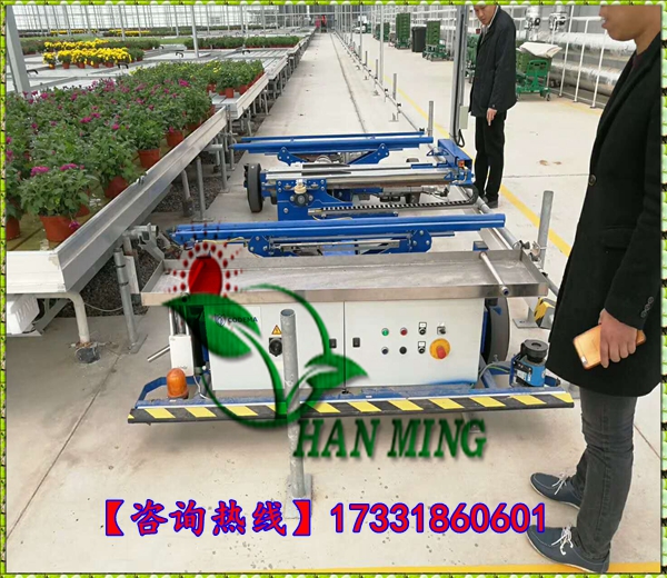 潮汐苗床