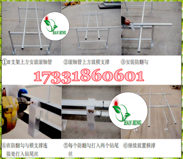 潮汐苗床