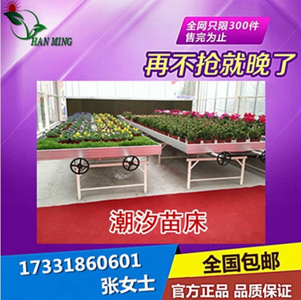 潮汐花卉苗床