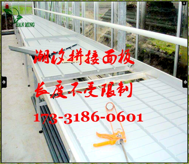 温室花卉苗床