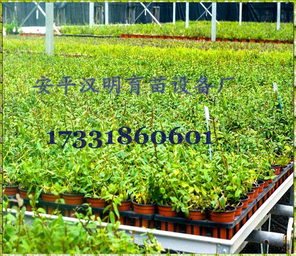 全自动潮汐苗床
