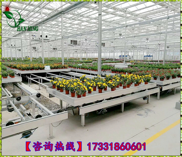 全物流苗床系统