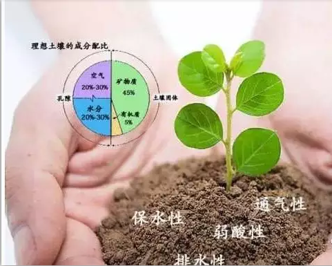 温室大棚移动苗床