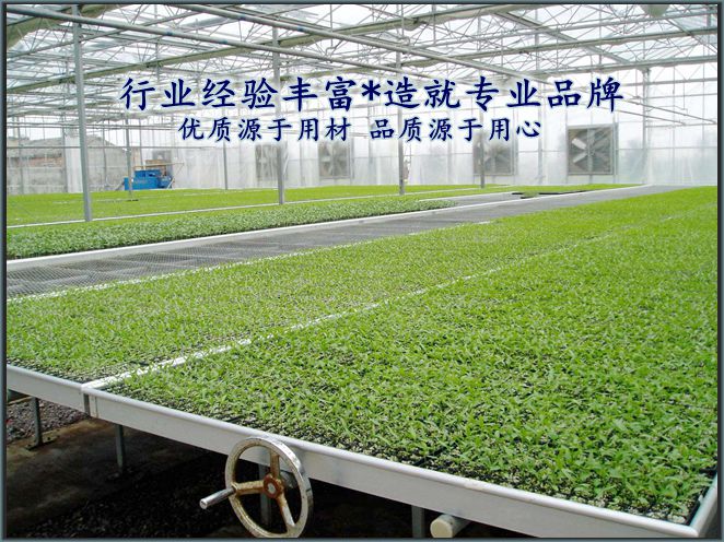 药材苗床