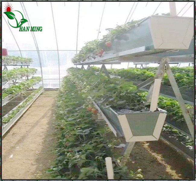 草莓栽培槽
