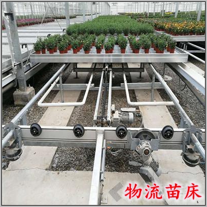 潮汐苗床