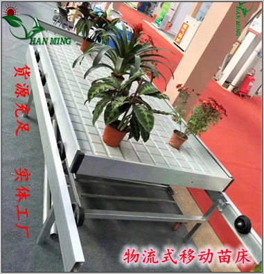 物流苗床